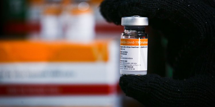 CoronaVac mantém proteção após seis meses da segunda dose