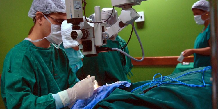 Número de doadores de órgãos volta a cair em 2021, diz associação