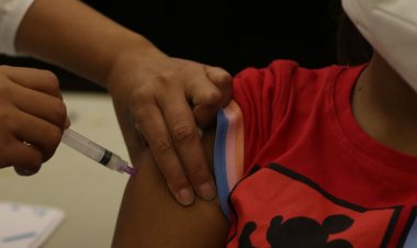 Covid-19: Brasil registra 14,1 mil casos e 185 mortes em 24 horas