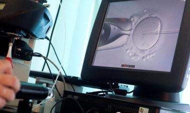 CFM já permite reprodução com material de casal do sexo masculino