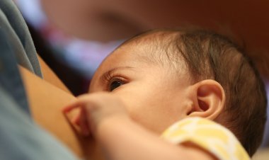 Dia Mundial da Doação de Leite realça o valor do aleitamento