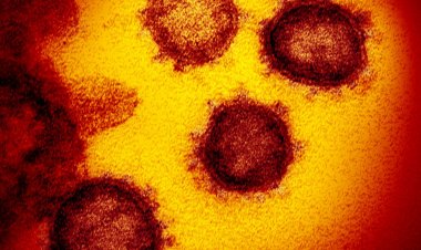 Estudo aponta sequelas neurológicas em pacientes leves de covid-19