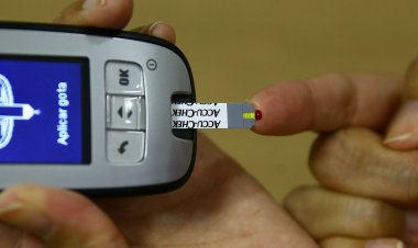 Avança Saúde Diabetes faz diagnóstico e encaminha pacientes em SP