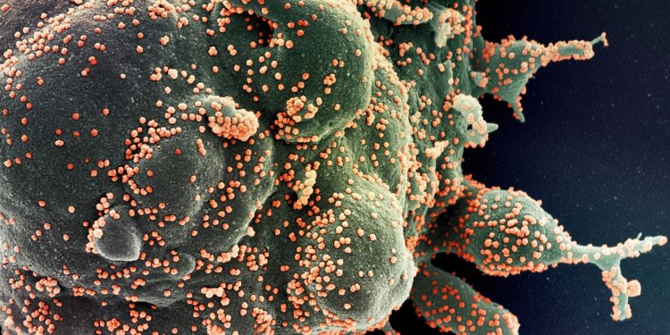 Covid-19: SP tem dois casos identificados da variante Ômicron XQ
