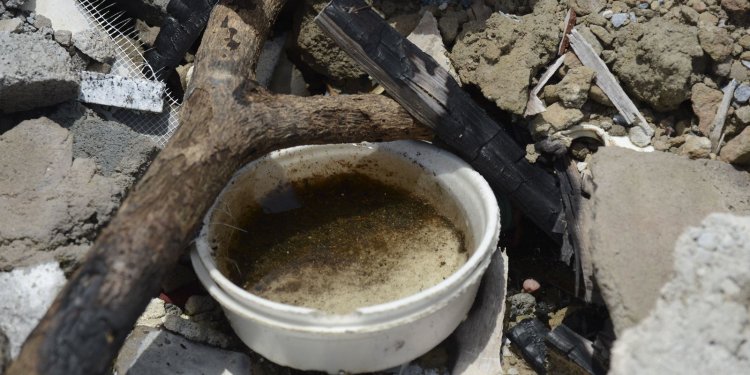 Casos de dengue no estado do Rio de Janeiro crescem 177% em 2022