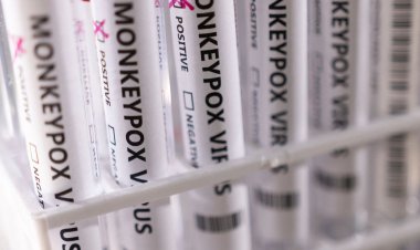 Pacientes de SP com varíola dos macacos estão com bom estado de saúde