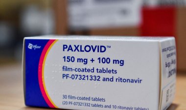 Covid-19: teste com paxlovid em voluntários de baixo risco é suspenso