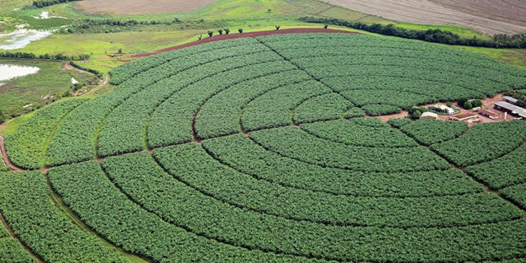 Senado aprova MP que aumenta garantias para setor agro captar recursos