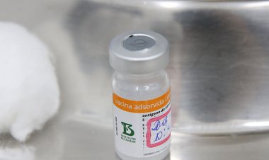 Butantan retoma produção da CoronaVac para imunizar crianças