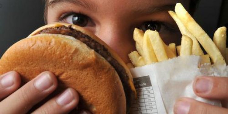 Alimentos ultraprocessados podem contribuir para perda cognitiva