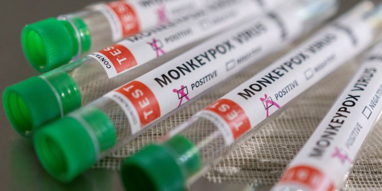 Anvisa analisa antiviral tecovirimat para tratar varíola dos macacos