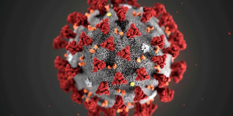 Covid-19: Brasil registra 9,9 mil novos casos e 82 óbitos em 24 horas