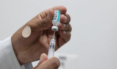 Brasil registra 1.023 novos casos e 66 mortes por covid-19 em 24 horas