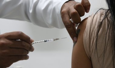 Brasil tem 33,9 mil novos casos e 100 óbitos por covid-19