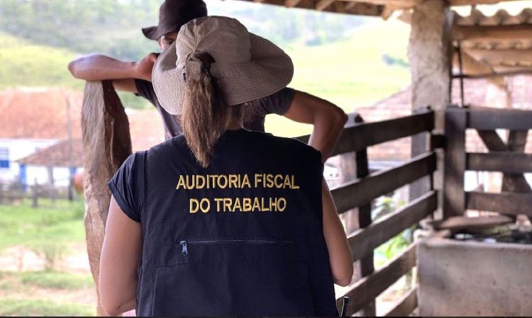 Minas Gerais lidera ranking de trabalho análogo à escravidão