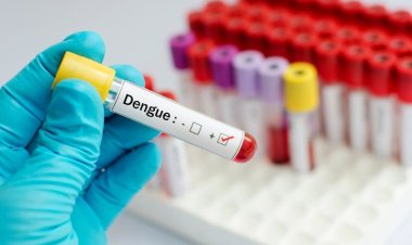 São João Nepomuceno registra a primeira morte por dengue no ano