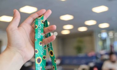 Vereadores de Viçosa aprovam uso do Cordão de Girassol