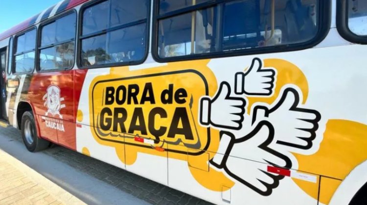 Vereadores de Leopoldina aprovam tarifa zero no transporte coletivo