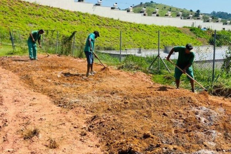 Penitenciária de Muriaé transforma detentos em agricultores: 1,4 Mil mudas abastecem horta comunitária em escola municipal
