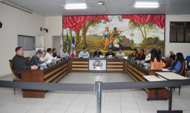 Lei Municipal vai responsabilizar proprietários e inquilinos que não cuidarem da limpeza de seus terrenos