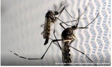 Dia D de combate ao Aedes aegypti ocorre neste sábado em todo o país