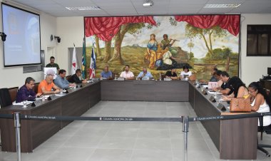 Ubá: Vereadores aprovam importantes projetos de lei em reunião ordinária